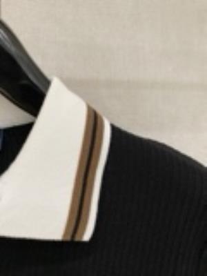 wholesale quality men ralph lauren polo shirts model no. 2805